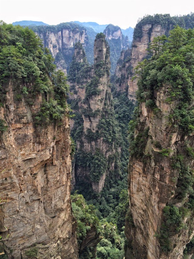 Best Nordic Wallpaper designer company in USA