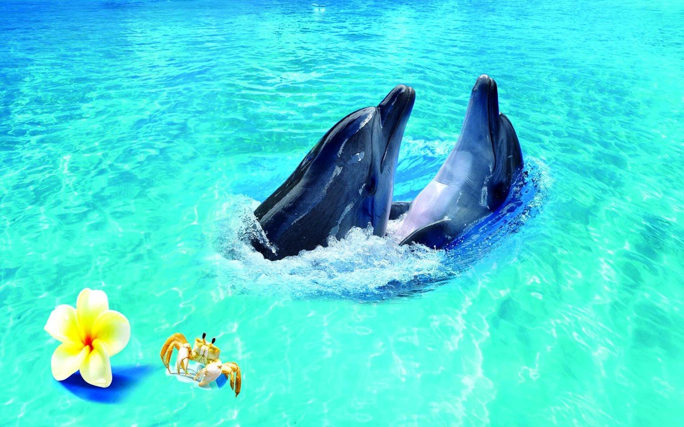 Low cost decorative Wallpaper Design selling Website in ASIA